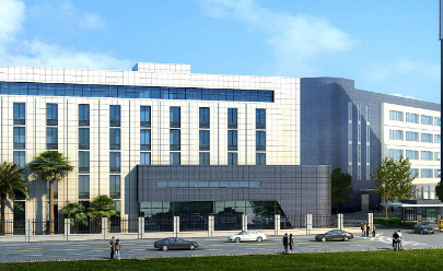 绿化苗木与园林树苗的选购差异分析及工程应用建议